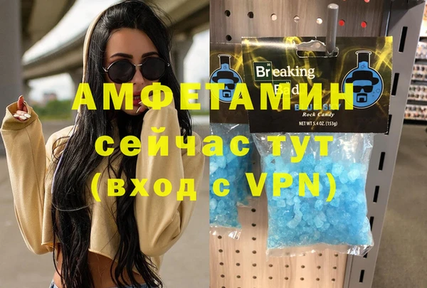 амф Гусев