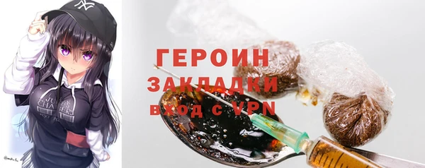 индика Дубна