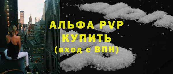 амф Гусев