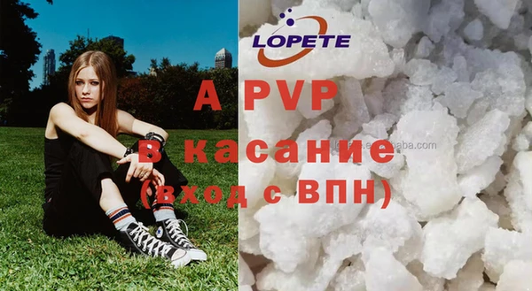 амф Гусев