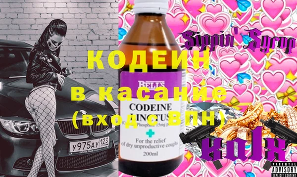 индика Дубна