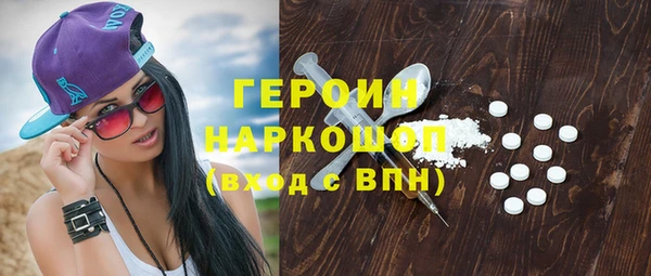 амф Гусев