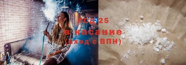 спайс Гусь-Хрустальный