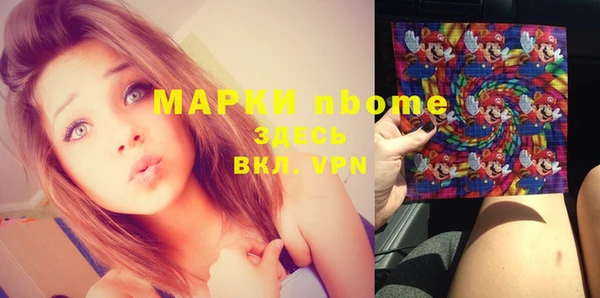 индика Дубна