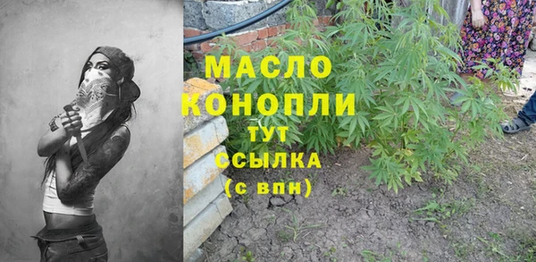 амф Гусев