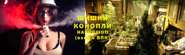 спайс Гусь-Хрустальный