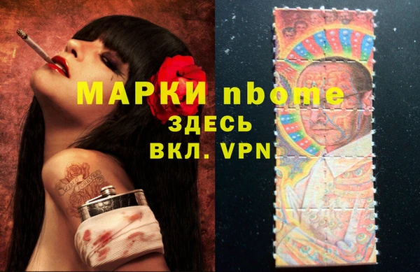 амф Гусев