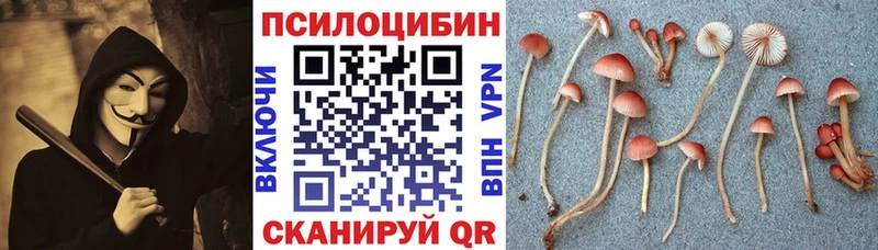 Галлюциногенные грибы Cubensis Донской