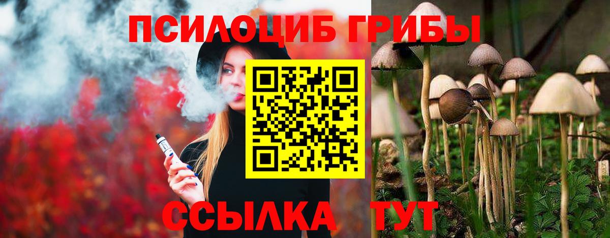 Псилоцибиновые грибы Psilocybe  Вход с VPN  Донской 
